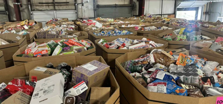 Liquidation Pallets For Sale: Fresh Stock Alert – Premium Pallets Ready To Ship Today