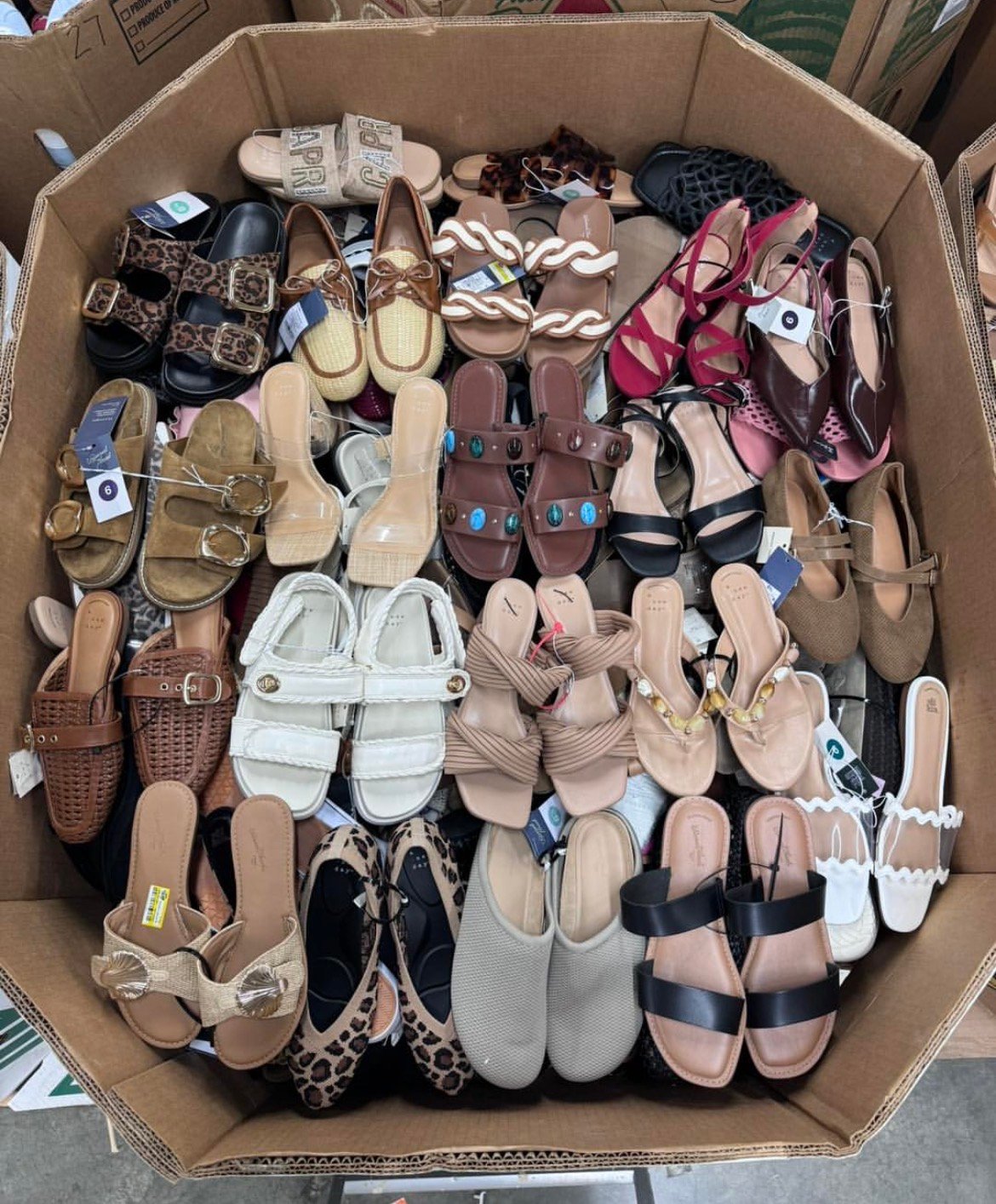 Target Women's Shoe Pallets