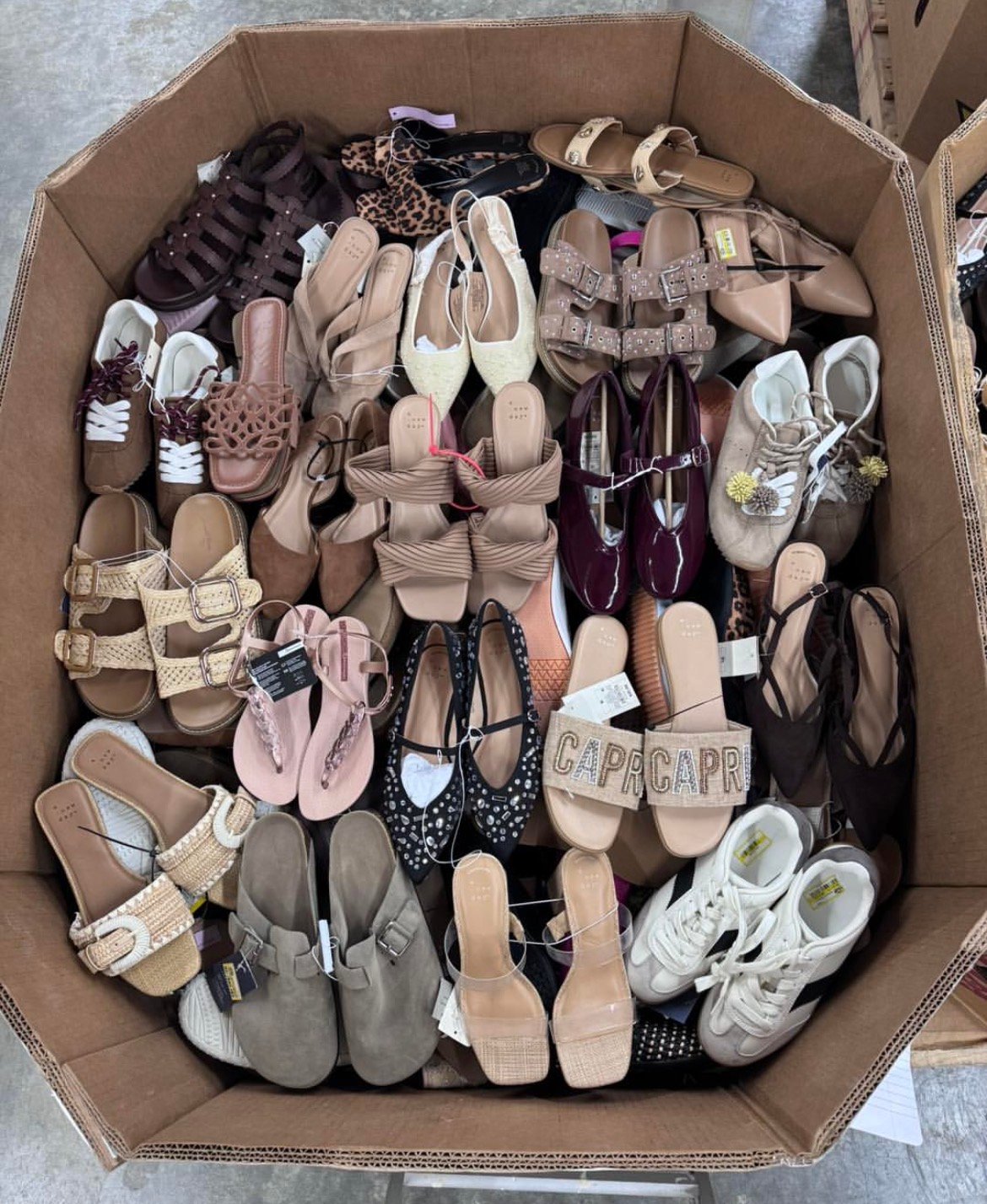 Target Women's Shoe Pallets