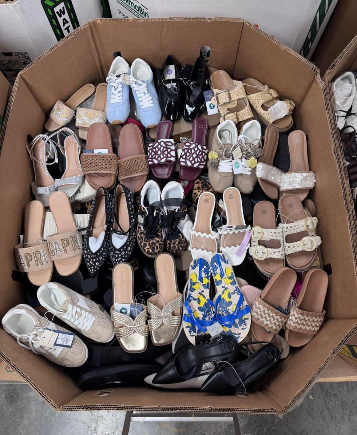 Target Women's Shoe Pallets