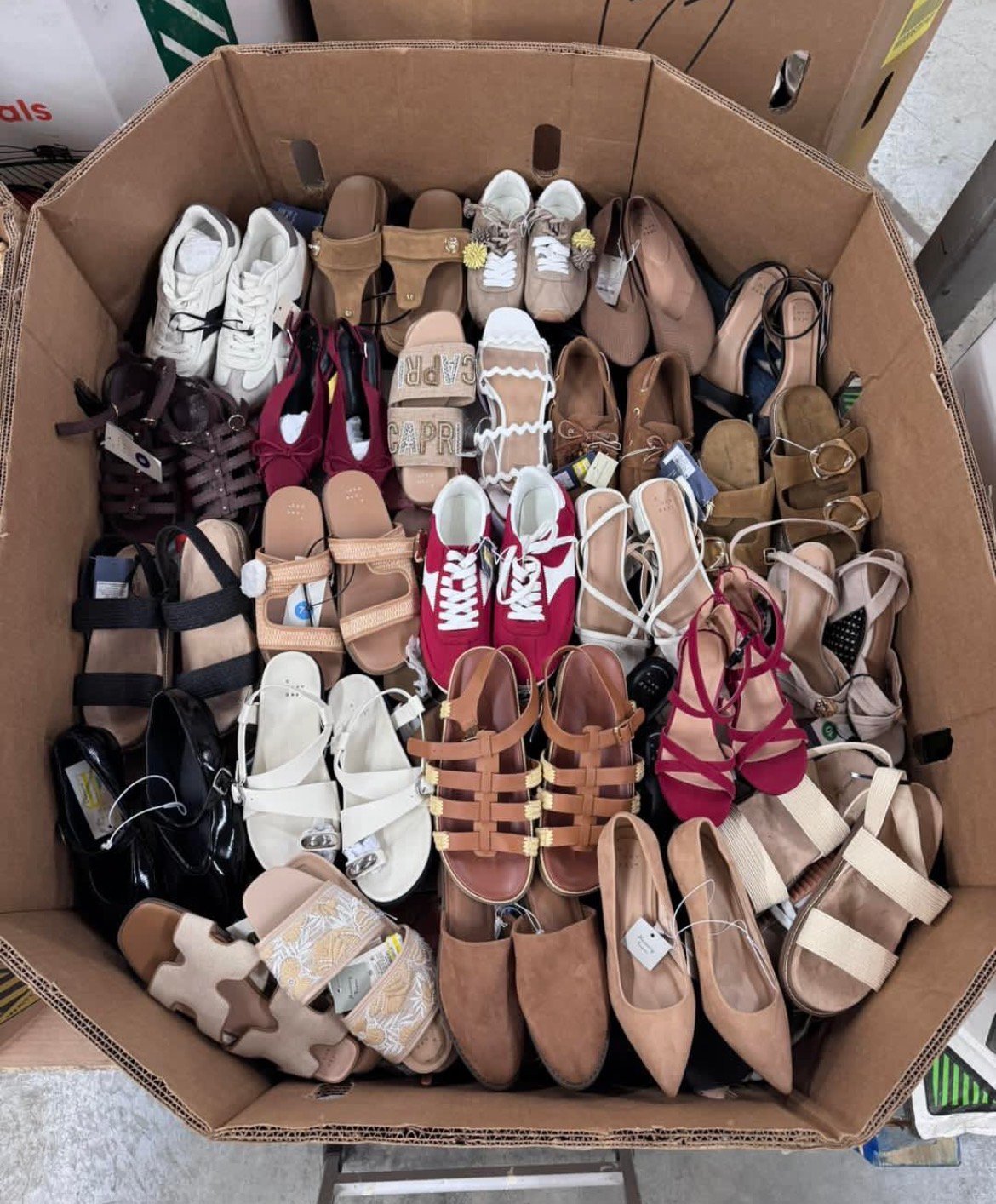Target Women's Shoe Pallets
